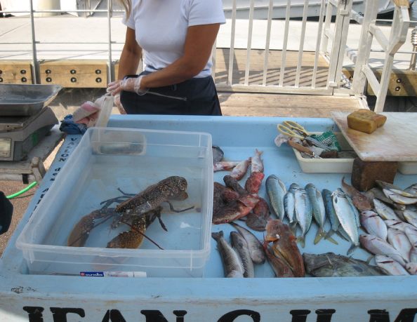7MarseillePoisson.jpg