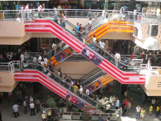 pal1.jpg