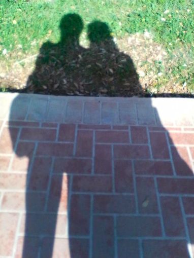 shadows.jpg